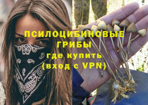 прущая мука Михайловск
