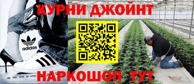 мет Бийск