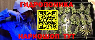 мет Бийск