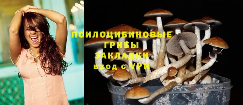 Галлюциногенные грибы Magic Shrooms  купить наркоту  блэк спрут вход  Волгоград 