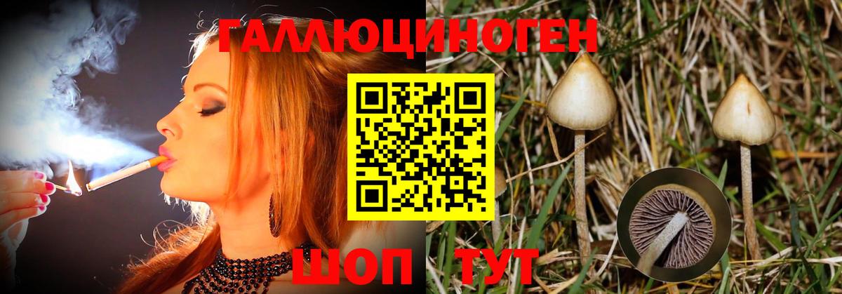 Псилоцибиновые грибы Magic Shrooms Волгоград