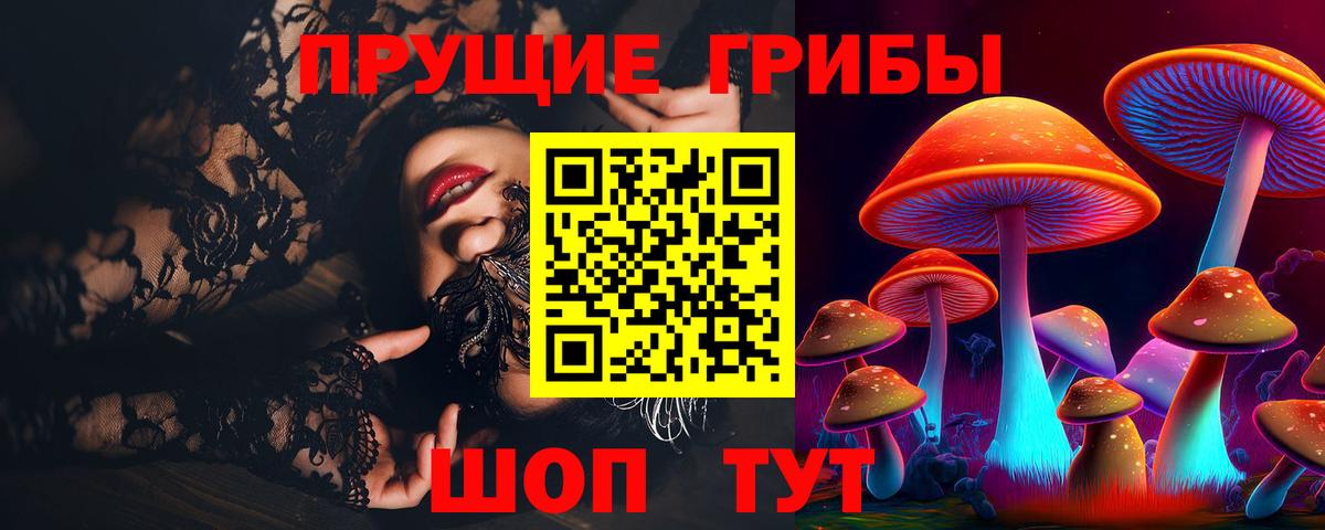 Псилоцибиновые грибы Psilocybe  Волгоград 