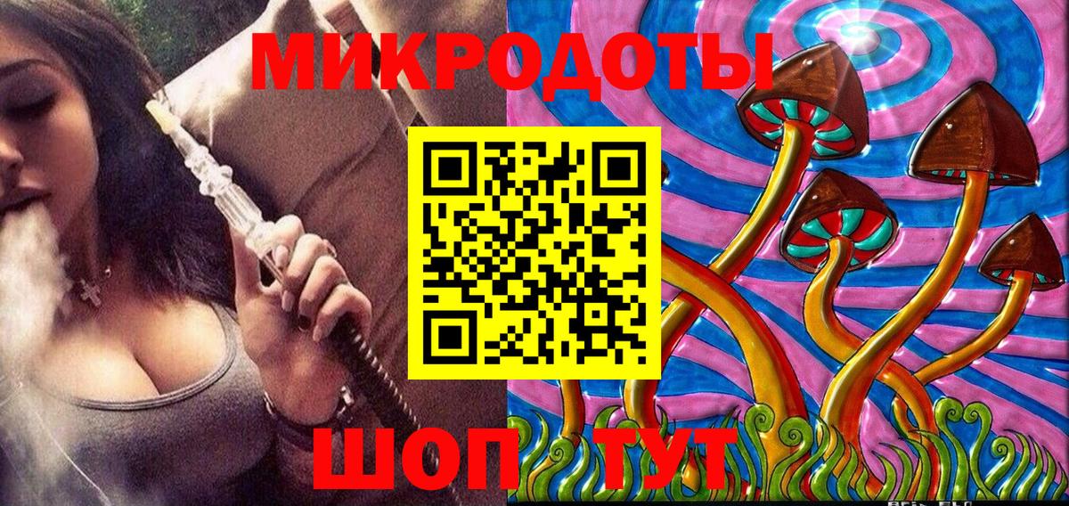 Псилоцибиновые грибы Cubensis Волгоград